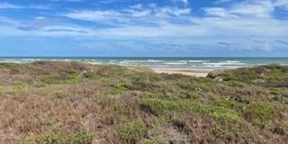 Malaquite Visitor Center Dunes
