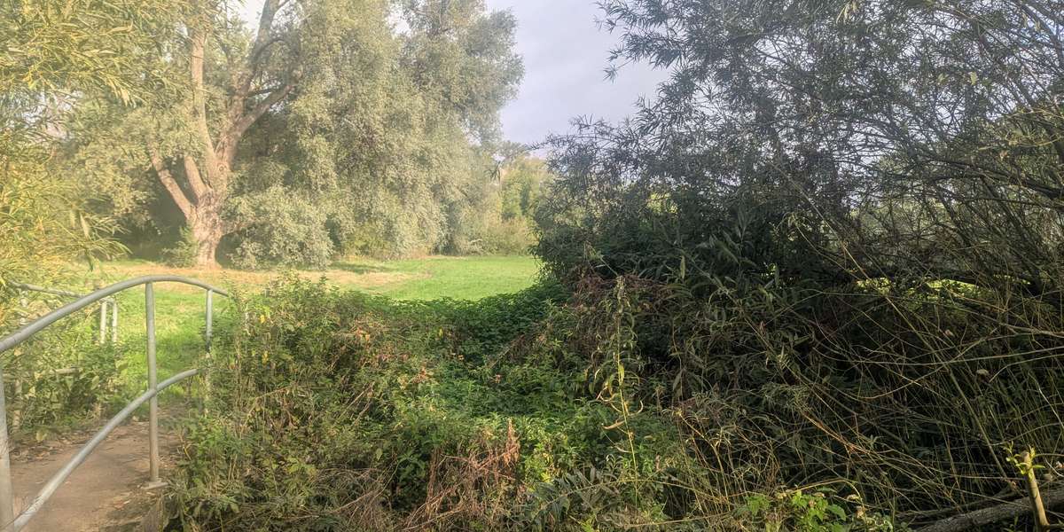 Park Farm Marston 105