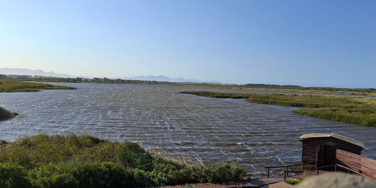 False Bay Nature Reserve: Rondevlei section 2