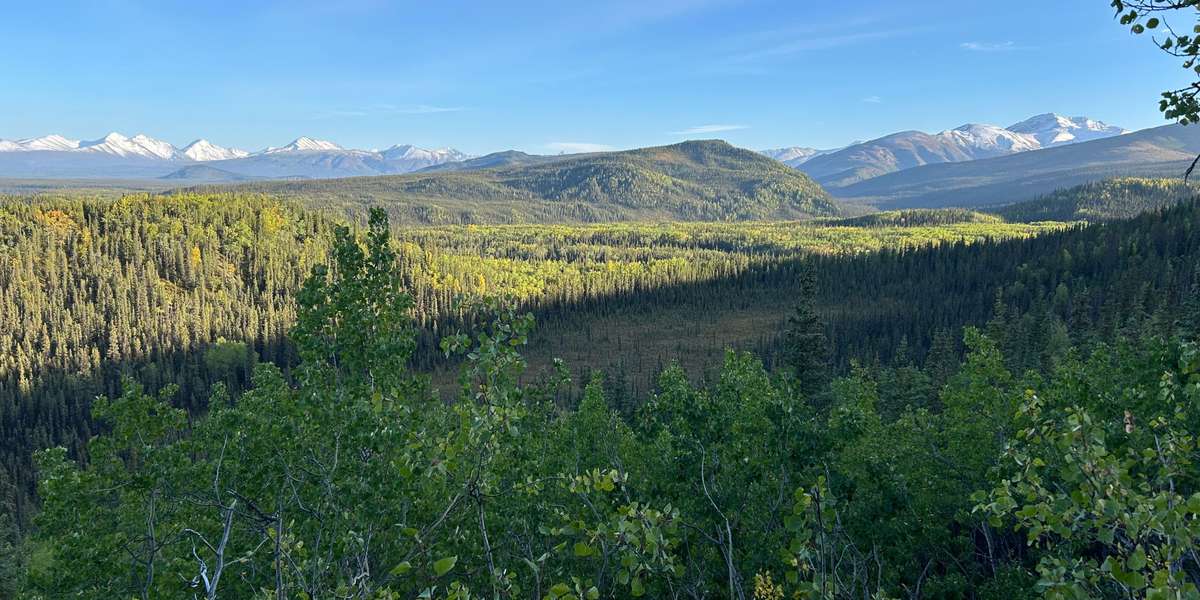 Meadow View Trail