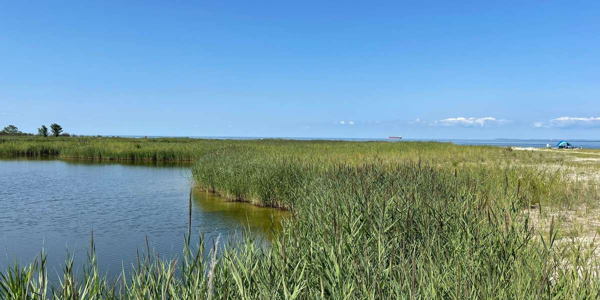 Flag Ponds Nature Park