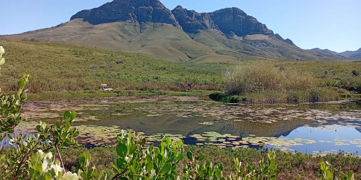 Helderberg Nature Reserve dam.