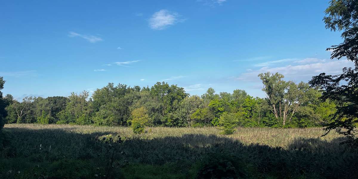 Ridgefield Park Nature Preserve
