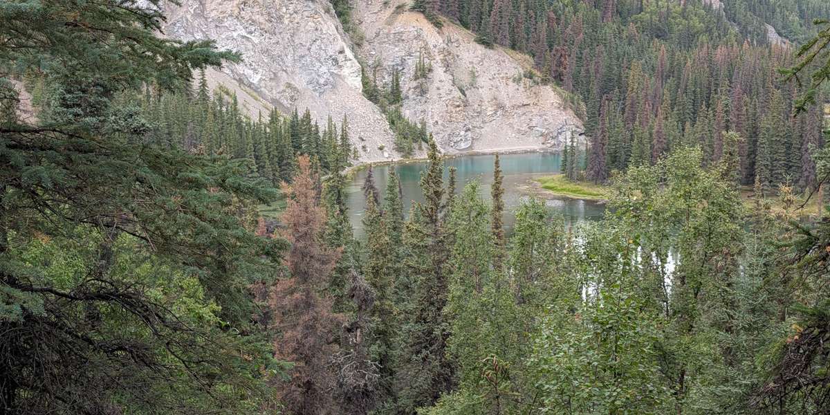 Horseshoe Lake Loop