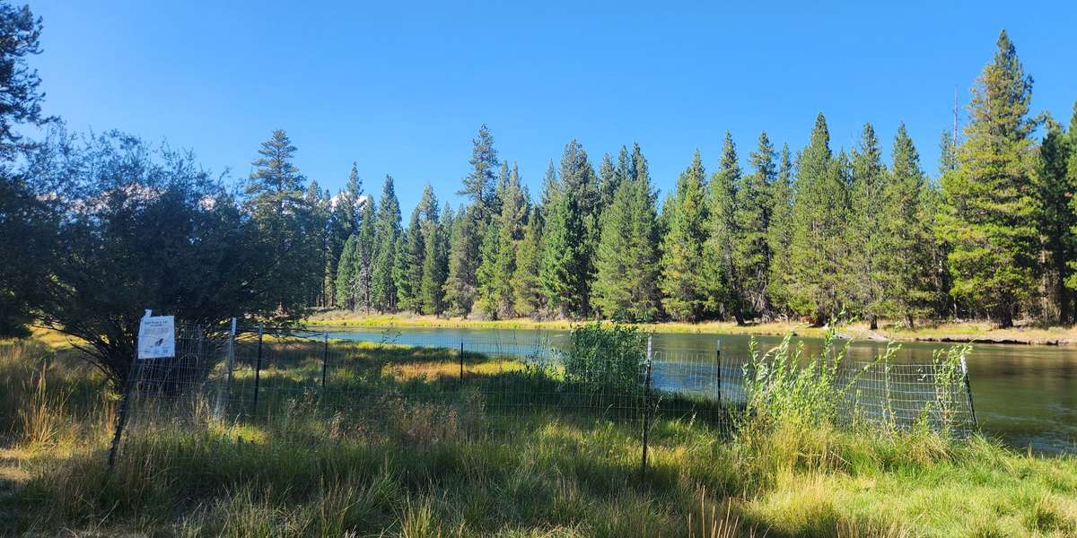 La Pine State Park BeaverHOOD Planting