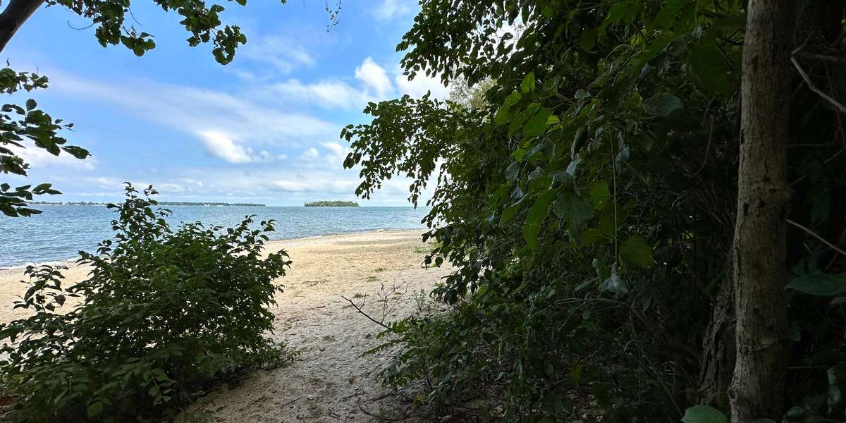 Duff Homestead & Bayfront Preserve