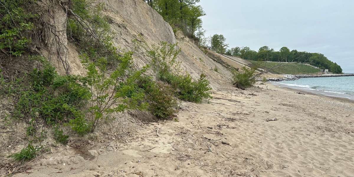 Jean & John Greene Nature Preserve