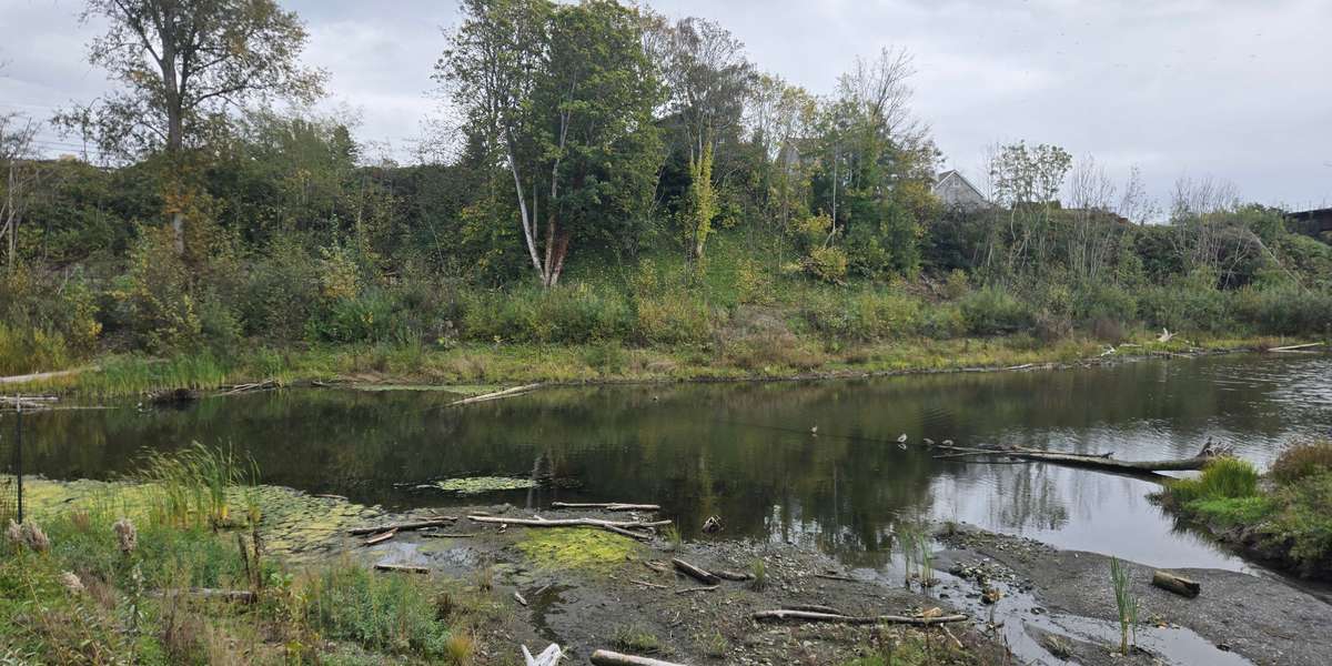 Little Squalicum Estuary - Trail Station
