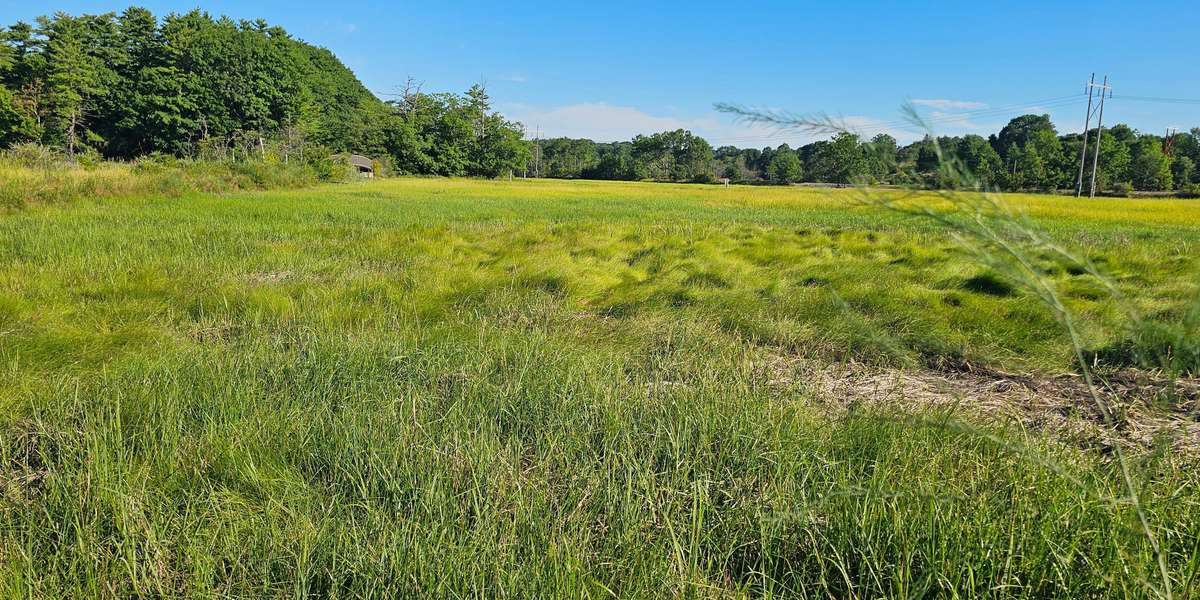 Fore River Sanctuary