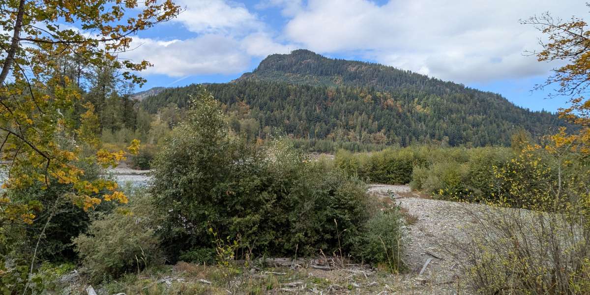 Elwha River Restoration: Former Aldwell Reservoir