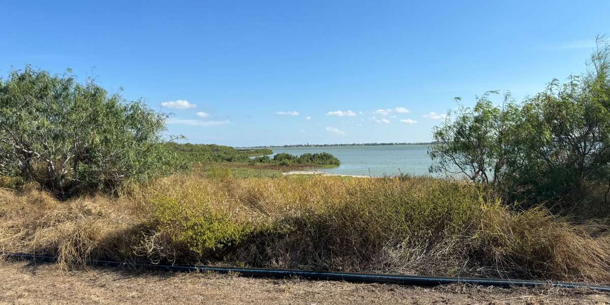 Oso Bay