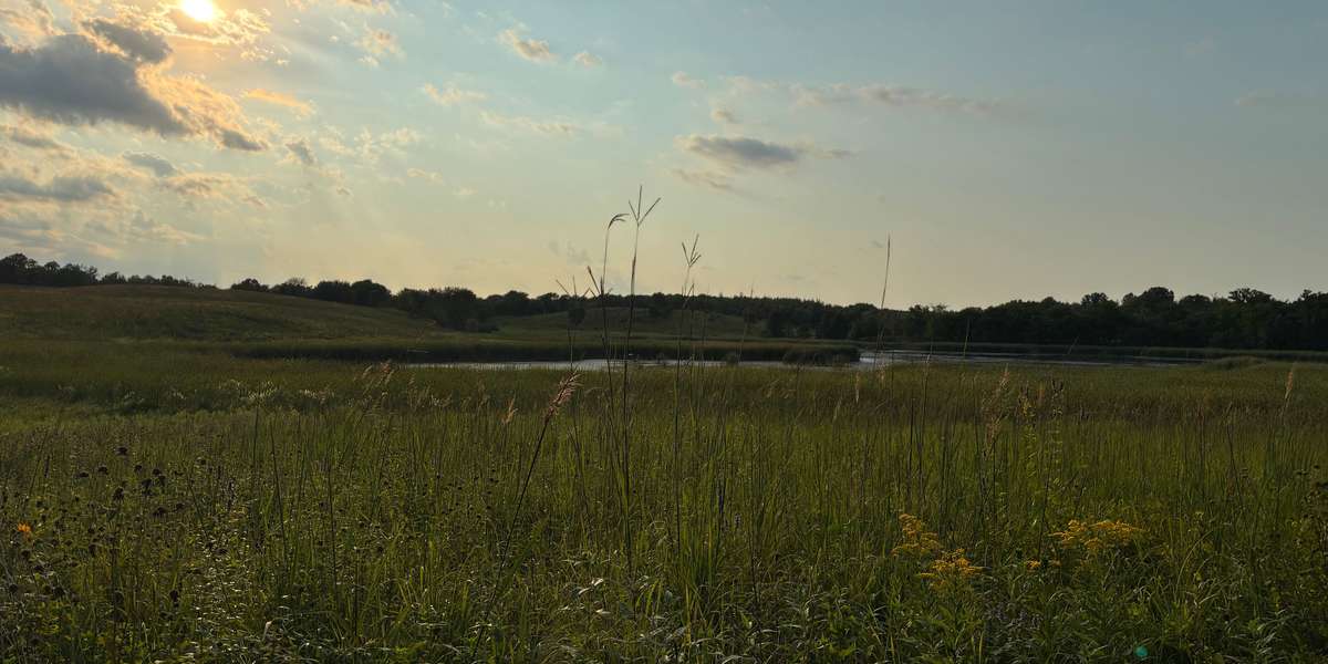 Lake Rebecca Park Reserve – Kasma Marsh