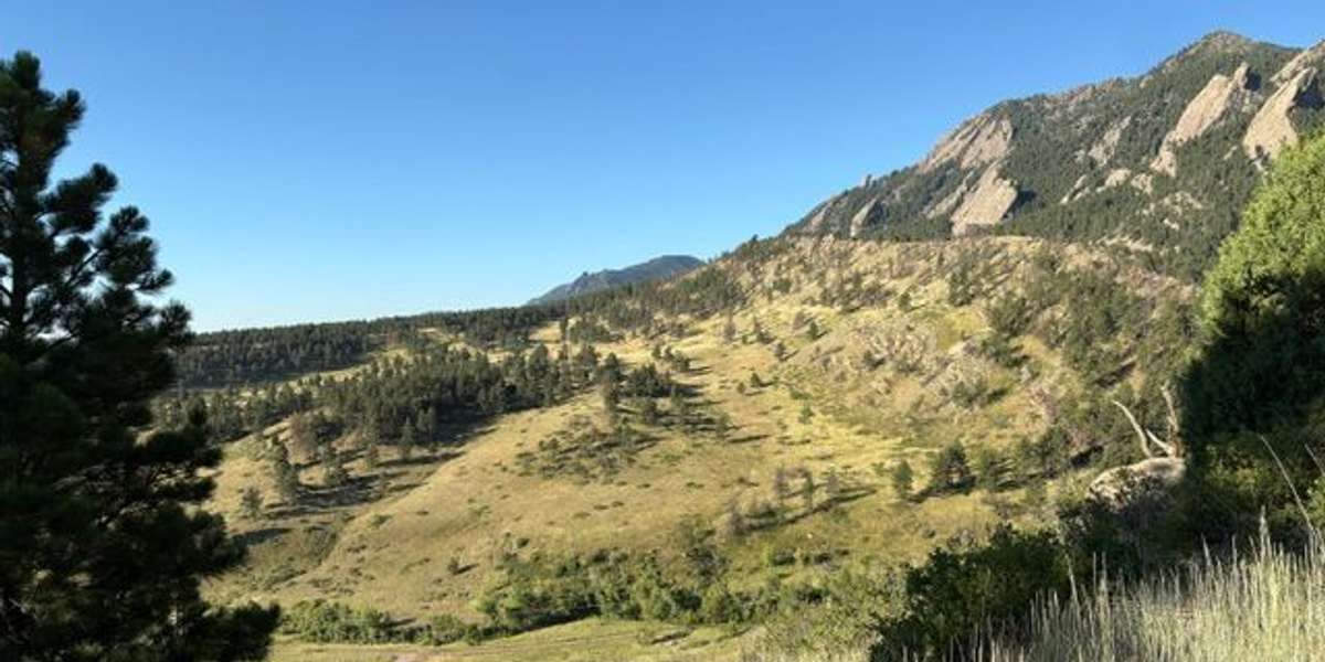 NCAR Fire Burnscar