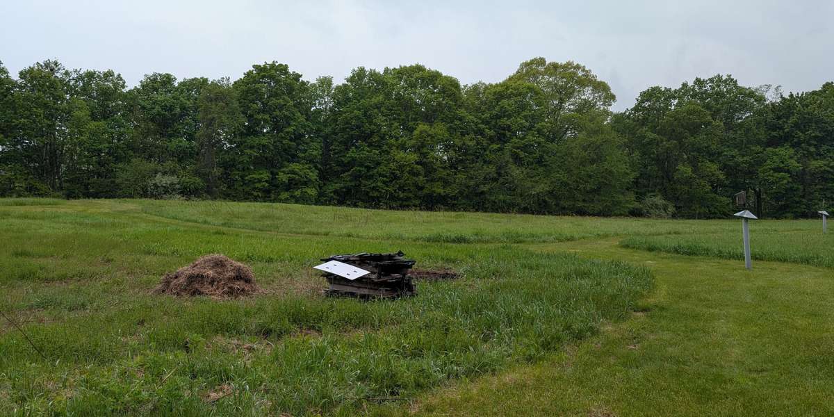 Kellogg Environmental Center, Meadow