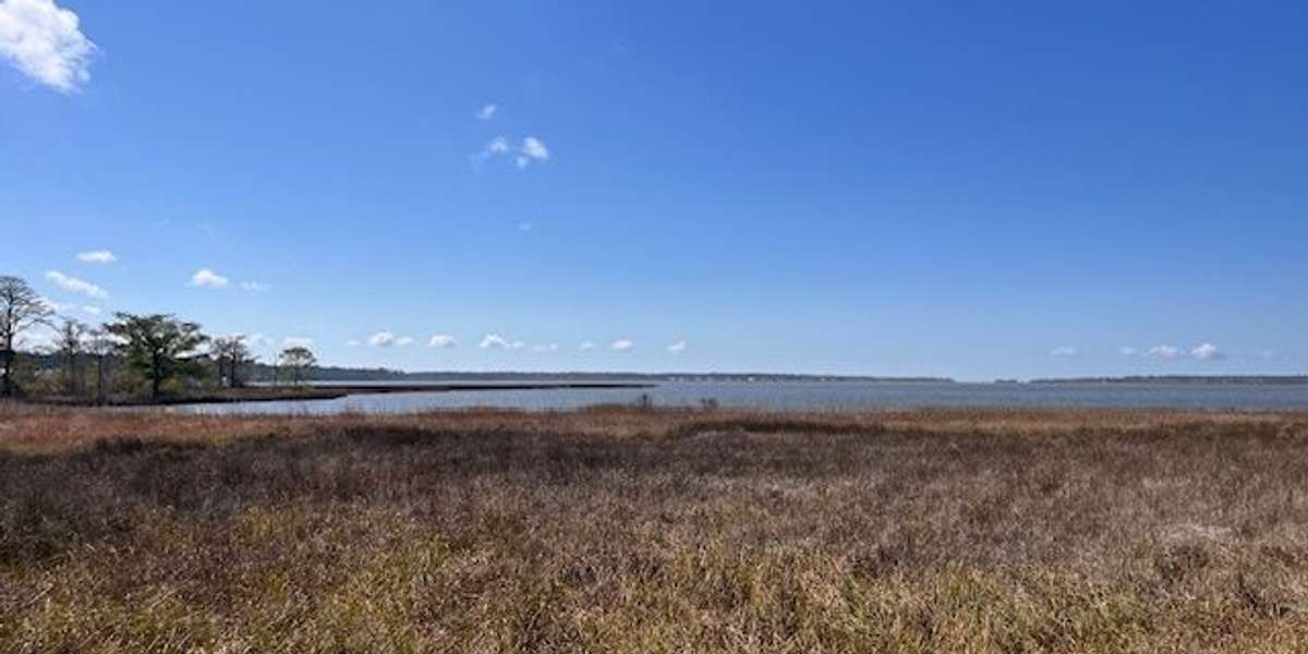 Weeks Bay Reserve Visitor Center Pavilion overlook