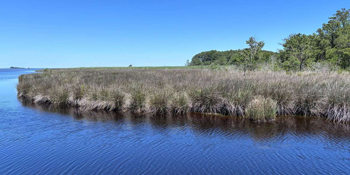 Currituck Banks Reserve