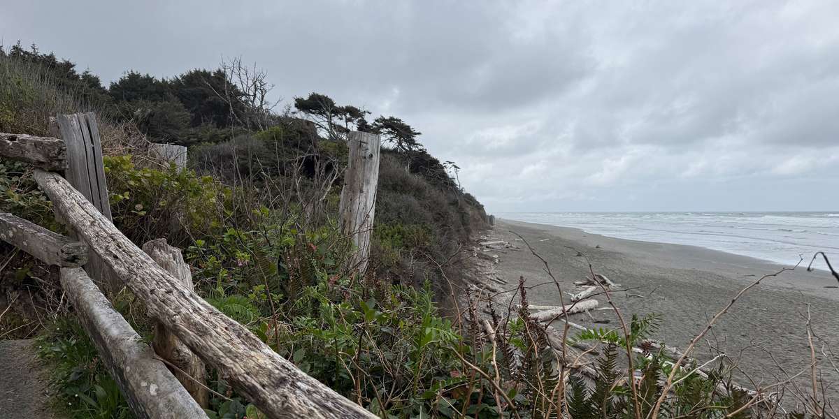 Kalaloch Campground South