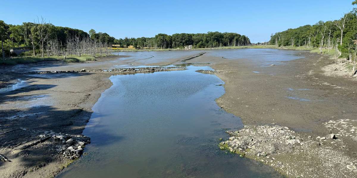 Damde Marsh