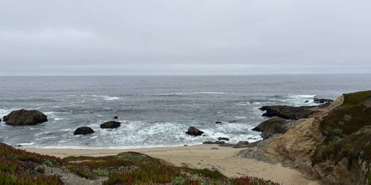 Bodega Head Marine Protected Area (MPA)