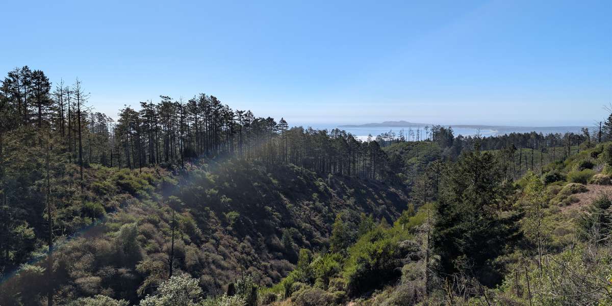 Woodward Fire Photomonitoring Site 2