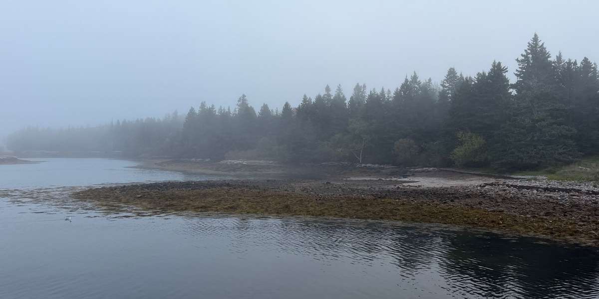 Frazer Point