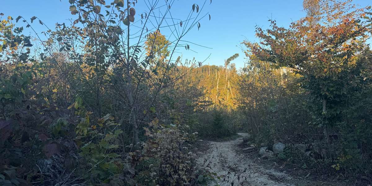 Wolf Cave Nature Preserve