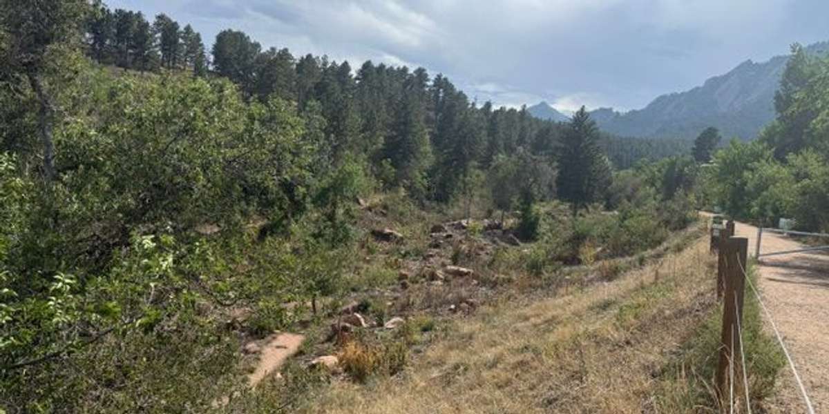 Lower McClintock Restoration