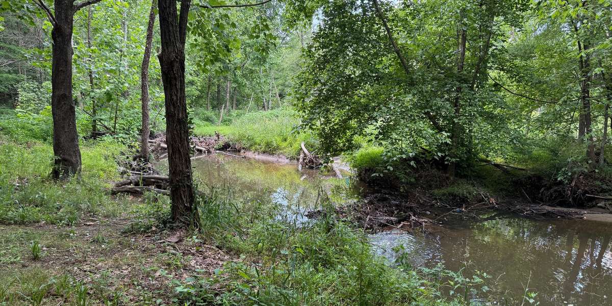 Rocky Branch Greenway Beaver Dam