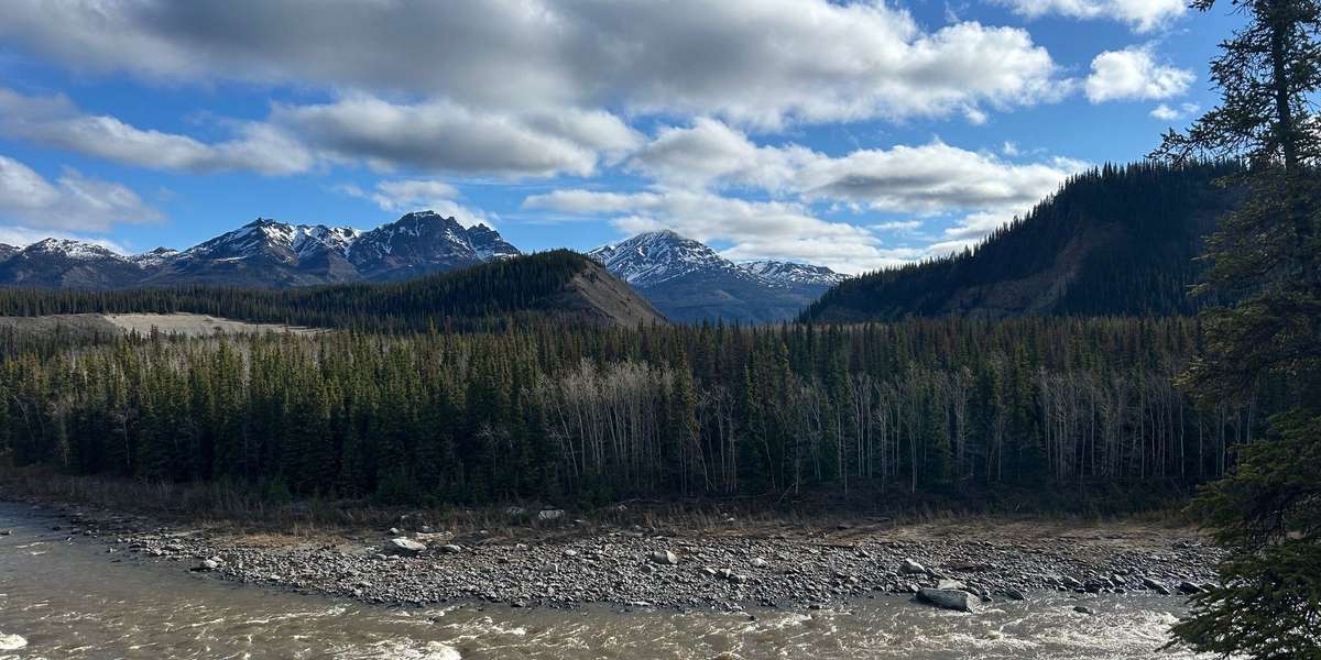 Nenana River Overlook