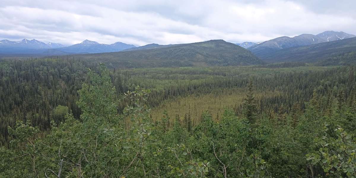 Meadow View Trail