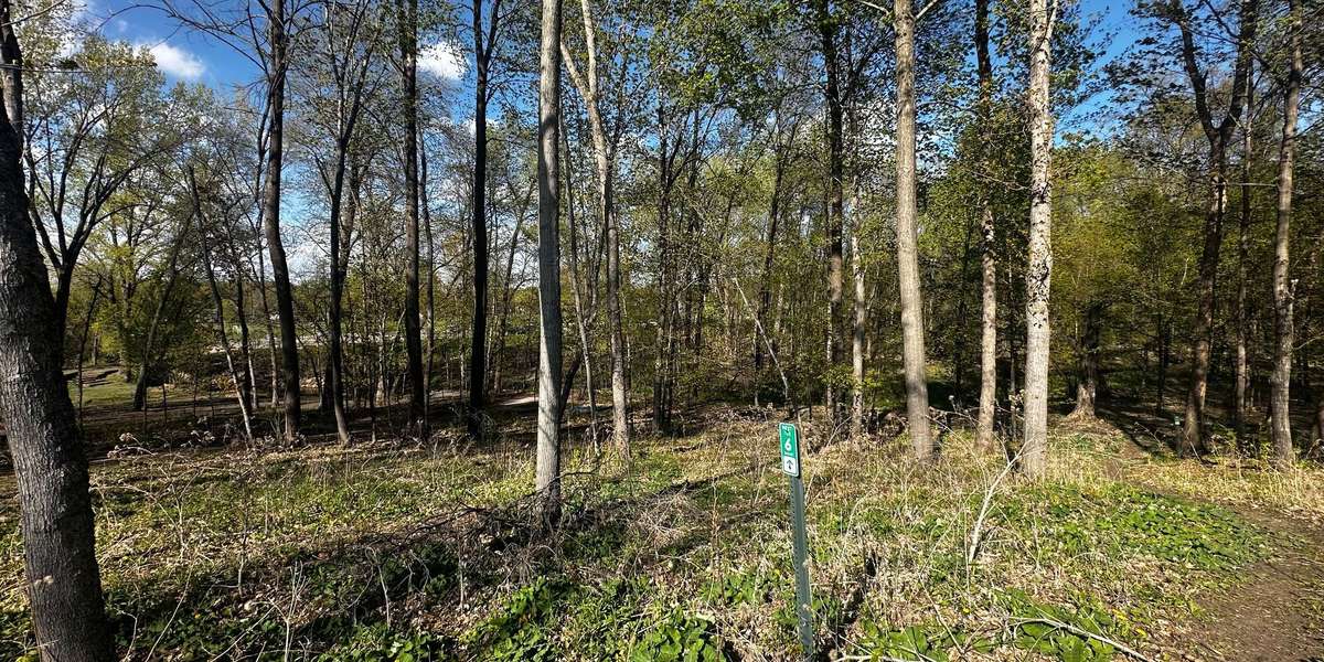 Disc Golf Course Hole 6