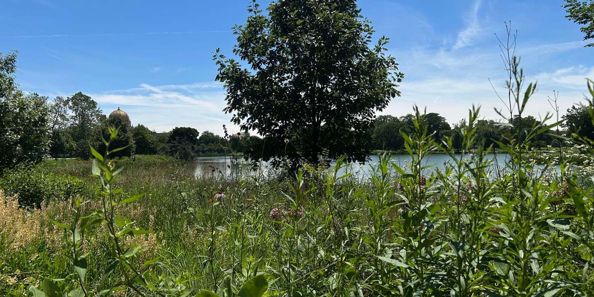 Garfield Park Natural Area