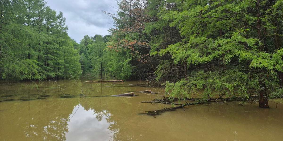 Lake Nevin Outdoor Classroom
