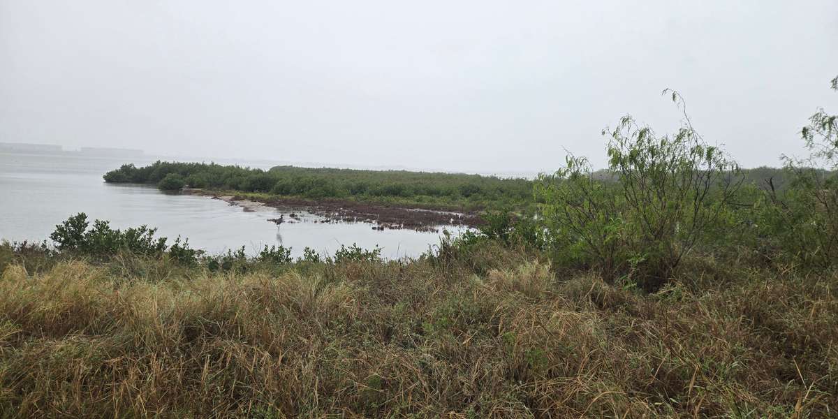 Oso Bay Tidal Flats