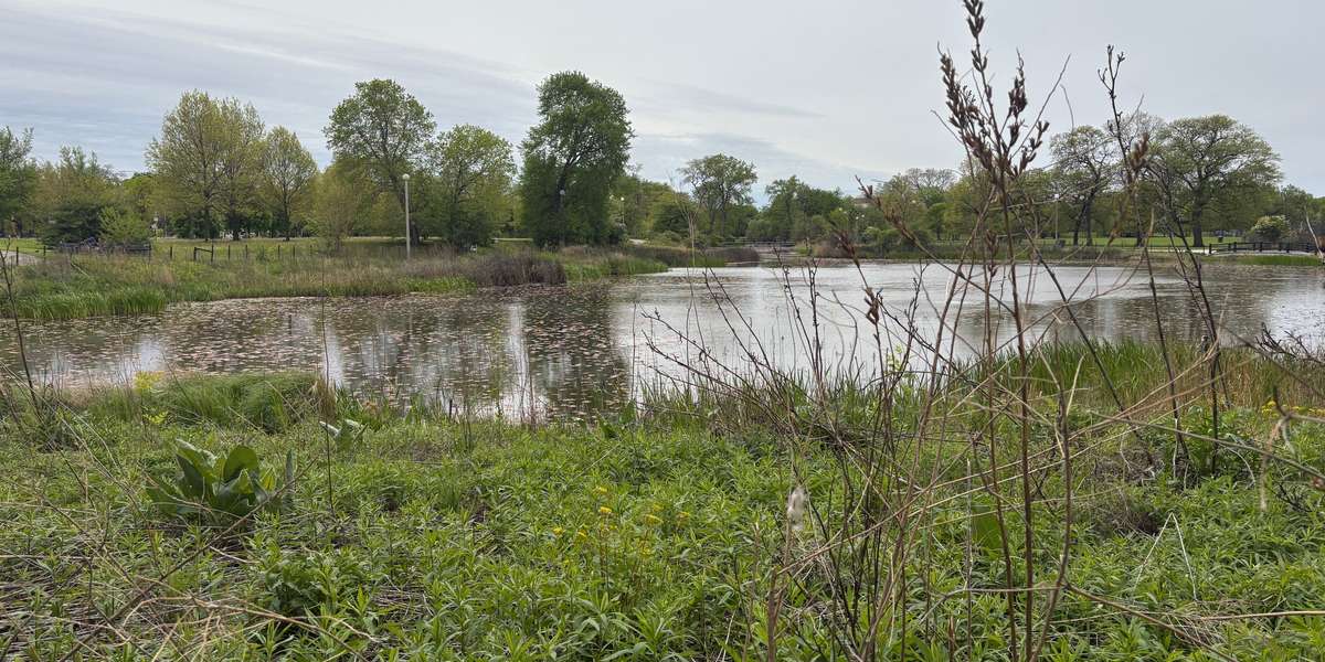 Humboldt Park Natural Area