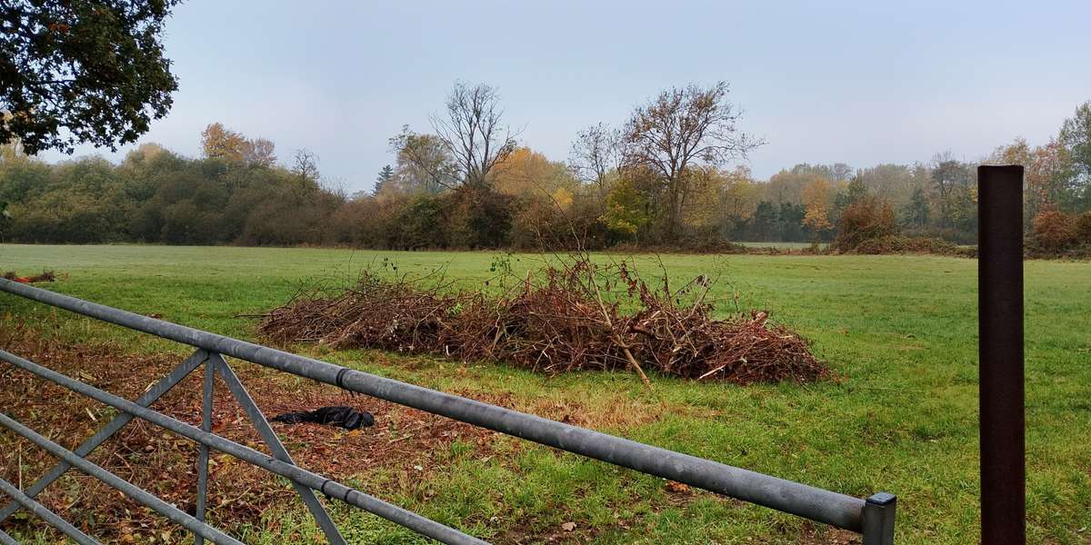 Park Farm Marston 104
