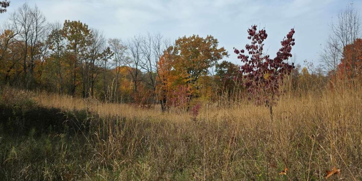 Wing Haven: Prairie