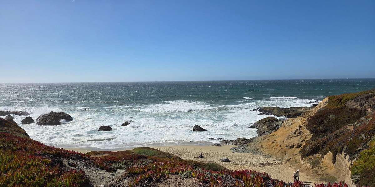 Bodega Head Marine Protected Area (MPA)