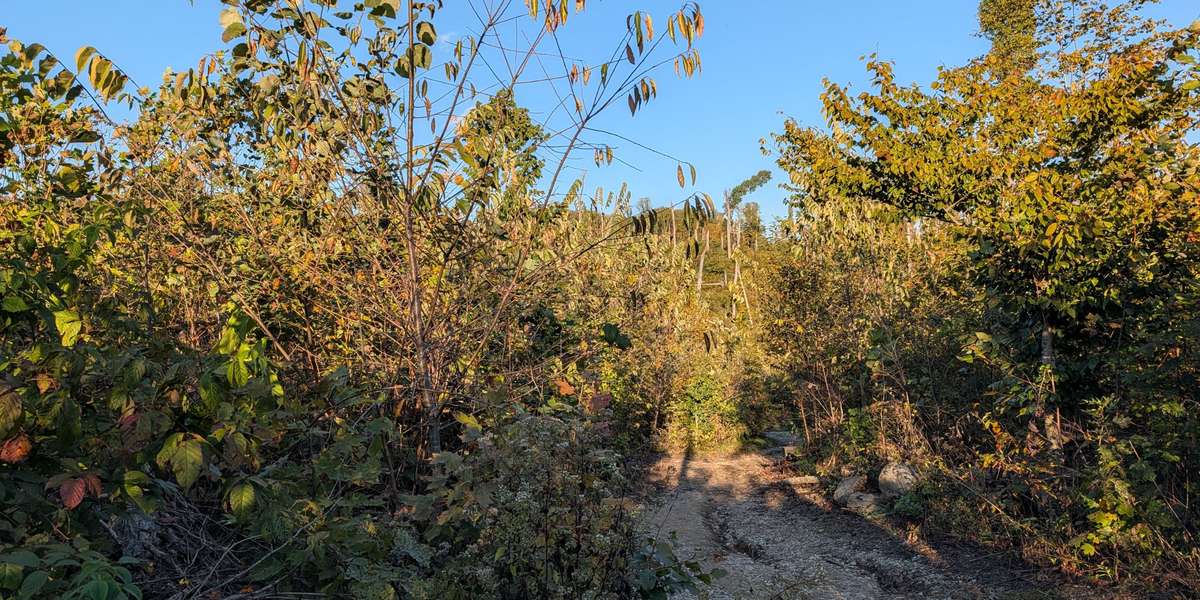 Wolf Cave Nature Preserve