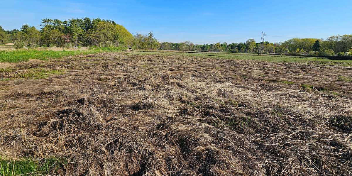 Fore River Sanctuary