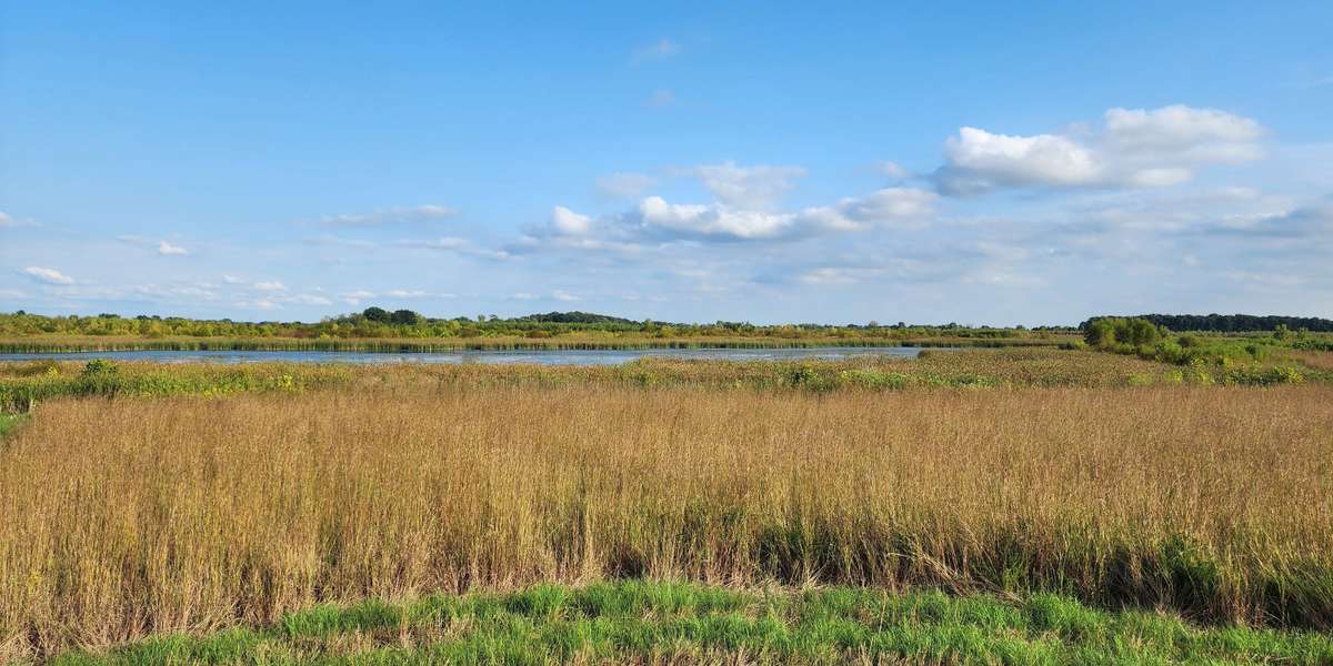 Darby Plains Wet Prairie
