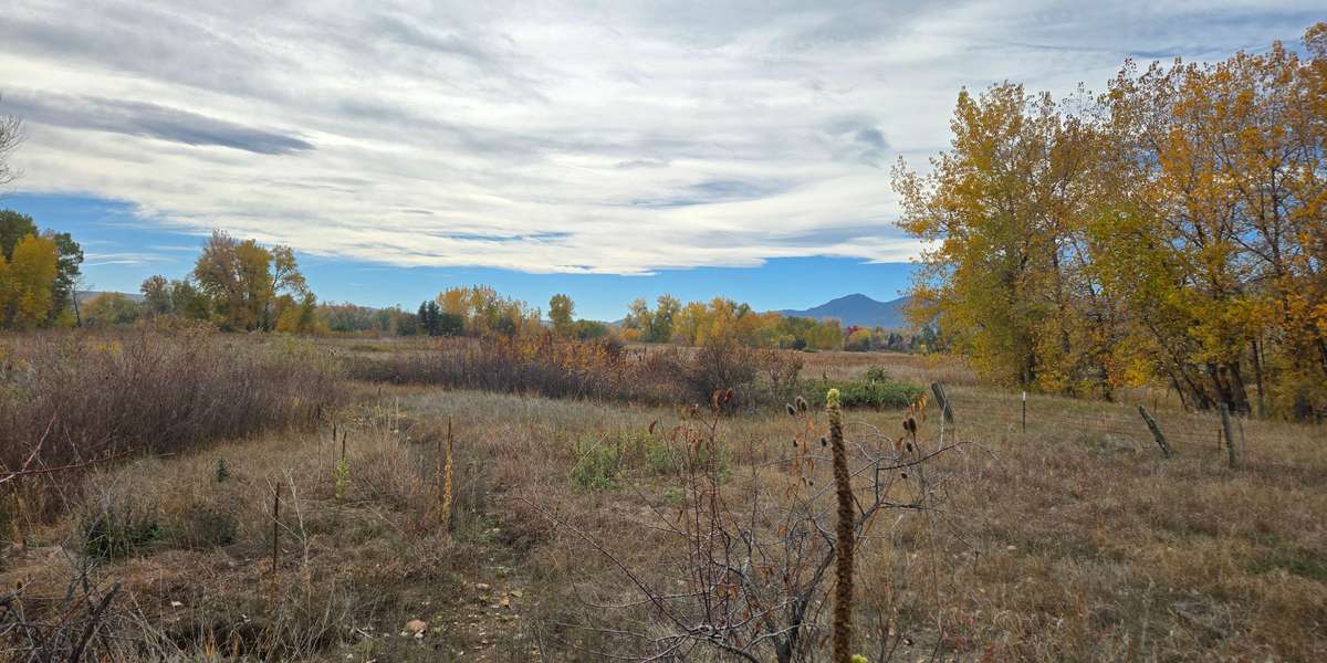 South Boulder Creek