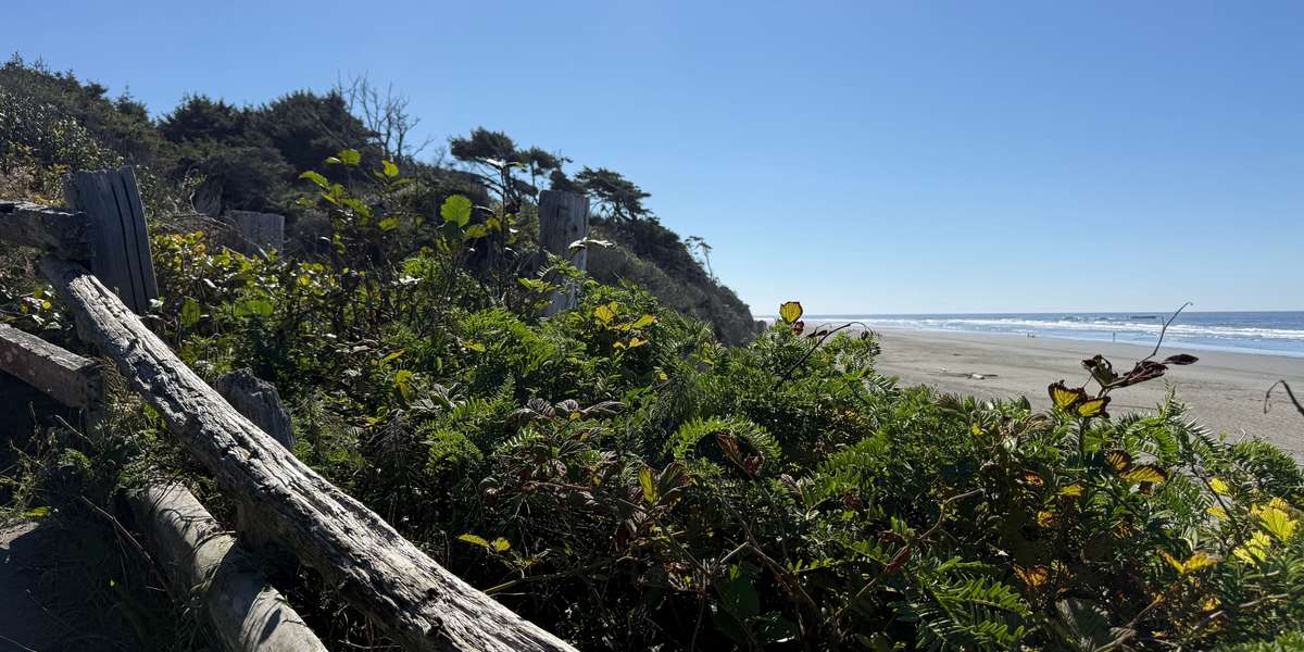 Kalaloch Campground South