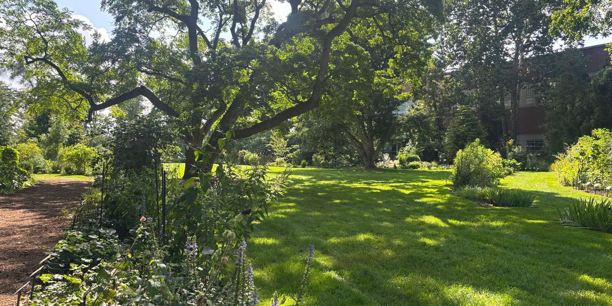Beal Botanical Garden | Garden Overlook