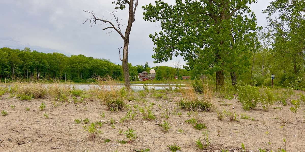 Headlands Dunes Coastal Wetland Restoration Project