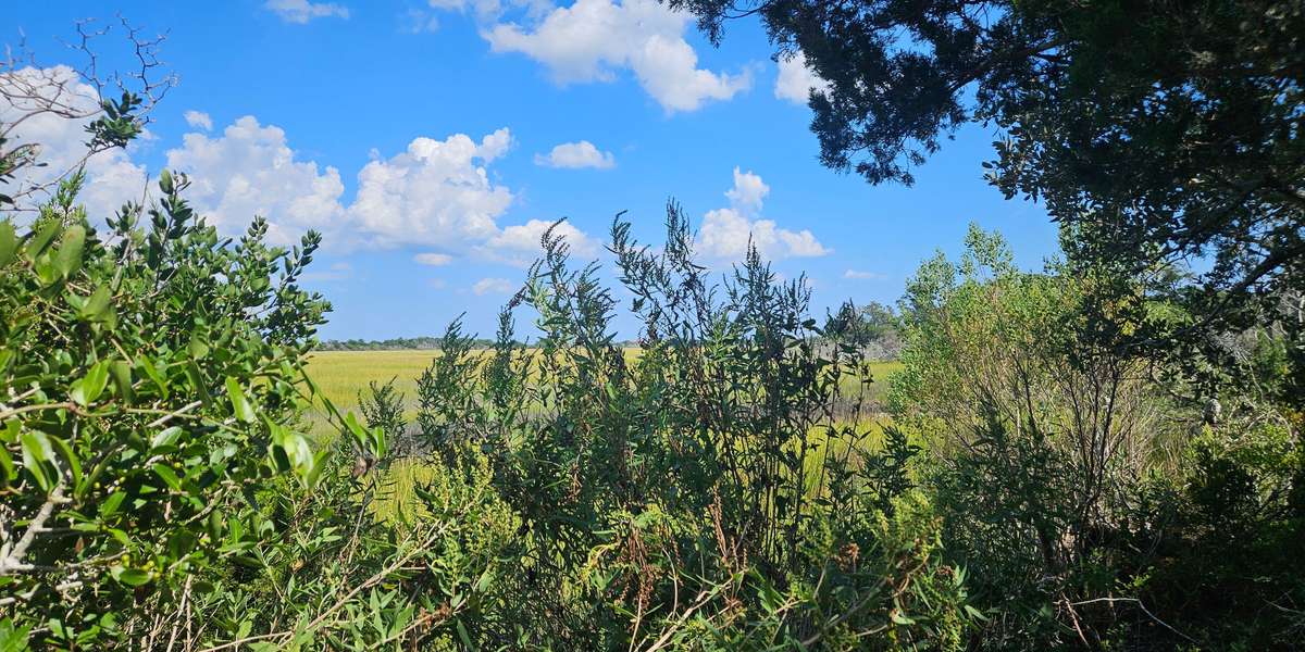 Fort Macon State Park