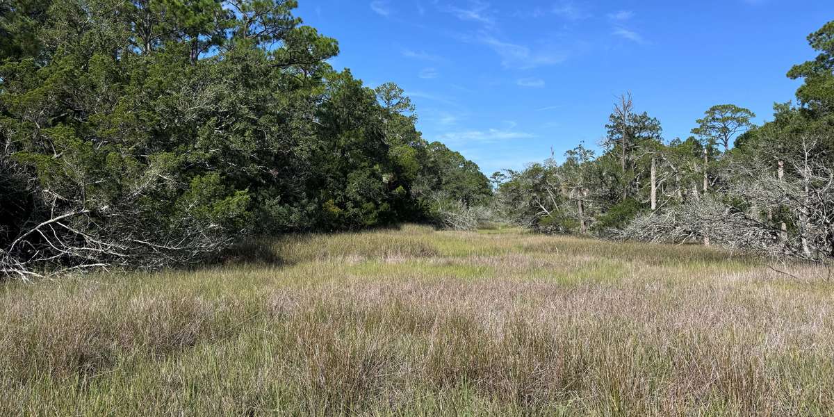 Falcon Point - Salt Cedar Lane Nature Area