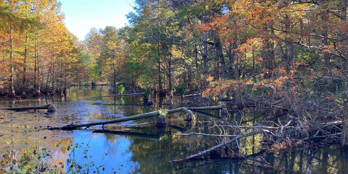 Lake Nevin Outdoor Classroom