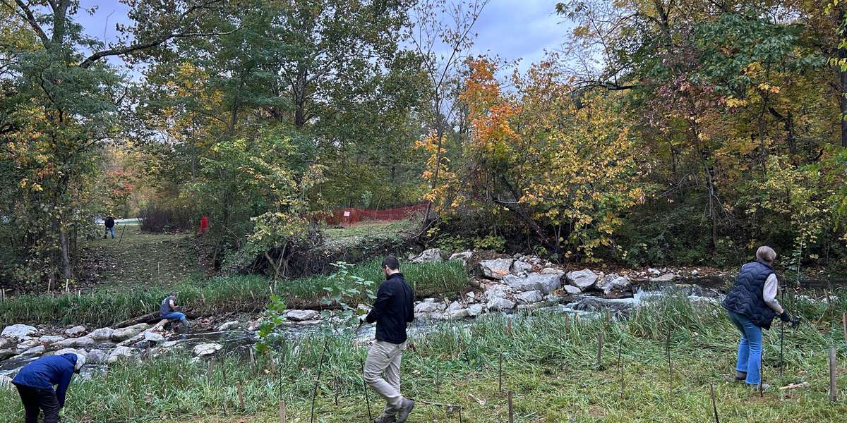 Wood Creek Fish Passage