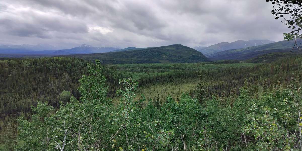 Meadow View Trail